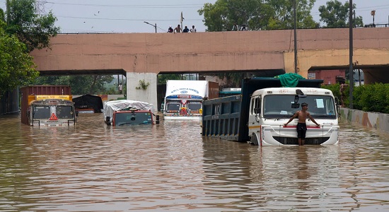 delhi