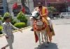 ਘੋੜੀ ‘ਤੇ ਸਵਾਰ ਹੋ ਕੇ ਰੋਹਤਕ ਪਹੁੰਚੇ ਨਵੀਨ ਜੈਹਿੰਦ