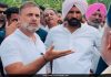 ਰਾਹੁਲ ਗਾਂਧੀ ਦੇ ਪੰਜਾਬ ਦੌਰੇ ਦੀ ਤਿਆਰੀ, ਬੱਸ ਟੂਰ ਨਾਲ ਕਾਂਗਰਸ ਜੋੜਨ ਦੀ ਕੋਸ਼ਿਸ਼
