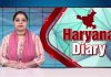 Haryana Dairy | हरियाणा डायरी | Haryana News | Chardikla Time TV…