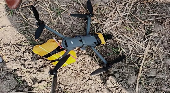 DRONE HAROINE
