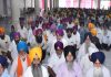 ਸ੍ਰੀ ਮੰਜੀ ਸਾਹਿਬ ਵਿਖੇ ਭਾਈ ਲਾਲੋ ਜੀ ਦਾ ਜਨਮ ਦਿਹਾੜਾ ਮਨਾਇਆ