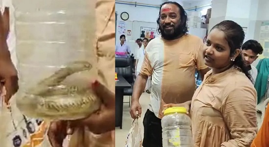 snake bite odisha